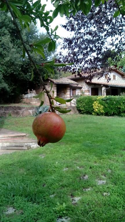 Agriturismo Casale Loreto Corchiano Экстерьер фото